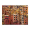 Ricki&Aposs Rugs 33 x 24 in. Italian Villa Inside & Outside Cedar Wall Art RI951719